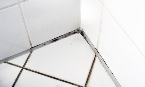 Verkeerd breedte Zachtmoedigheid Schimmel badkamer of douche verwijderen: oorzaken & gevolgen