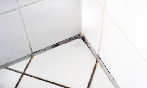 schimmel laten verwijderen badkamer
